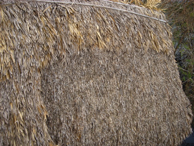 dsc00625.jpg